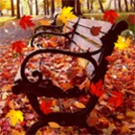 Logo of Autumn Live Wallpaper android Application 