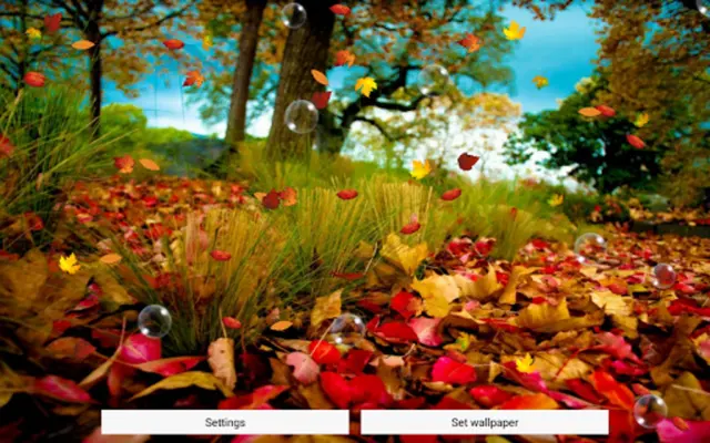 Autumn Live Wallpaper android App screenshot 0