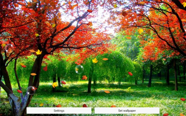 Autumn Live Wallpaper android App screenshot 1