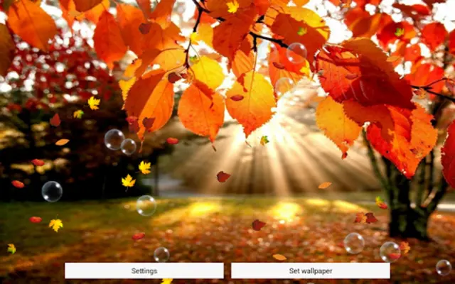 Autumn Live Wallpaper android App screenshot 3