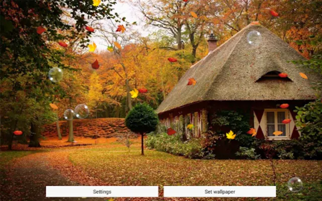 Autumn Live Wallpaper android App screenshot 4