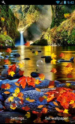 Autumn Live Wallpaper android App screenshot 5