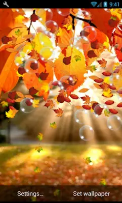 Autumn Live Wallpaper android App screenshot 6